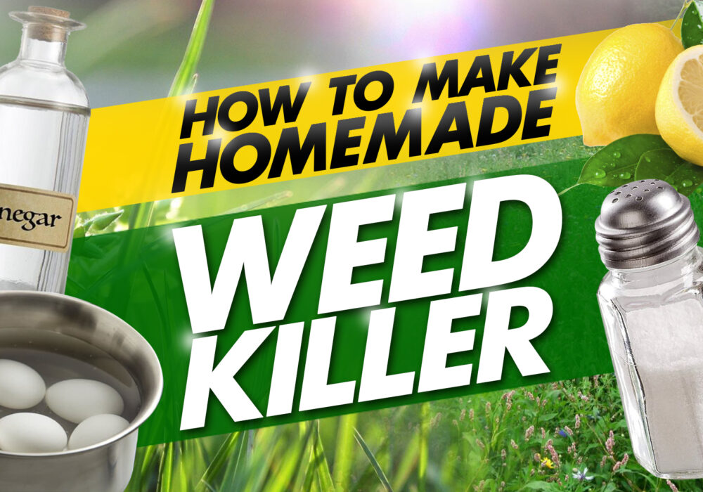 how to make homemade weed killer
