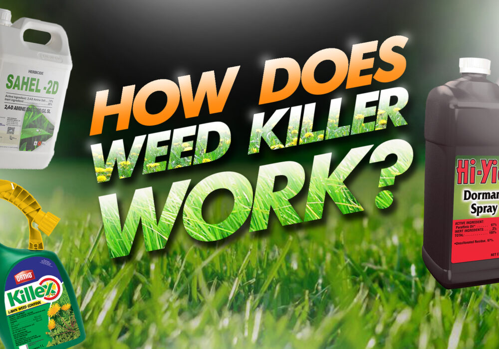 how does weed killer work