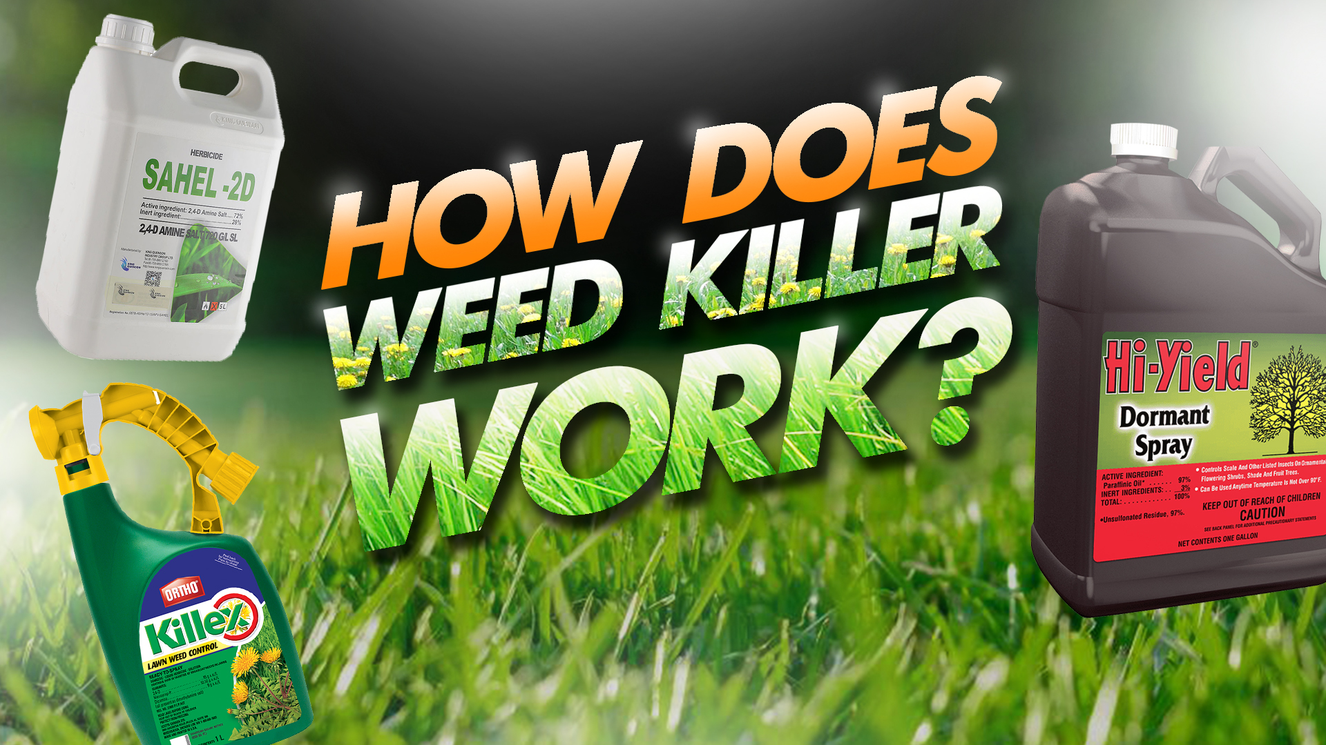 how does weed killer work
