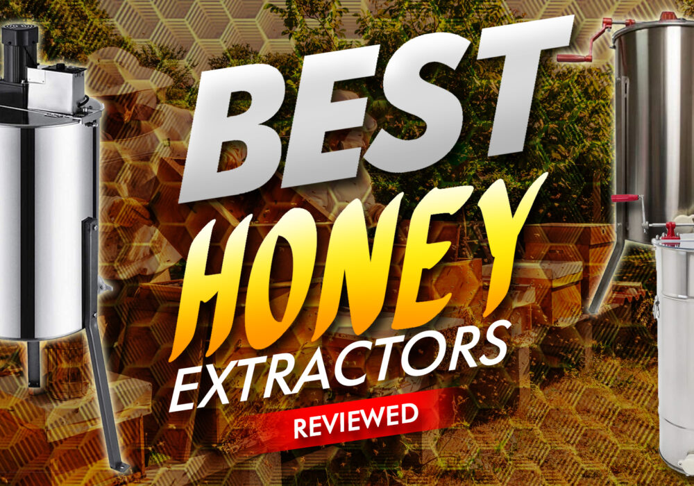 Best Honey Extractors Reviewed