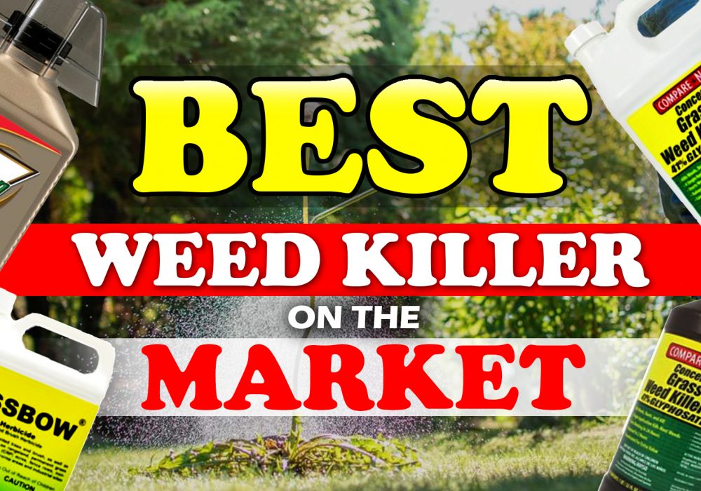 Best Weed Killer On The Market Reviews