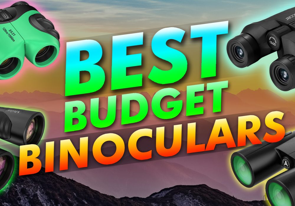 Best Budget Binoculars